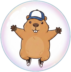 Barry the Capybara in a safe private bubble